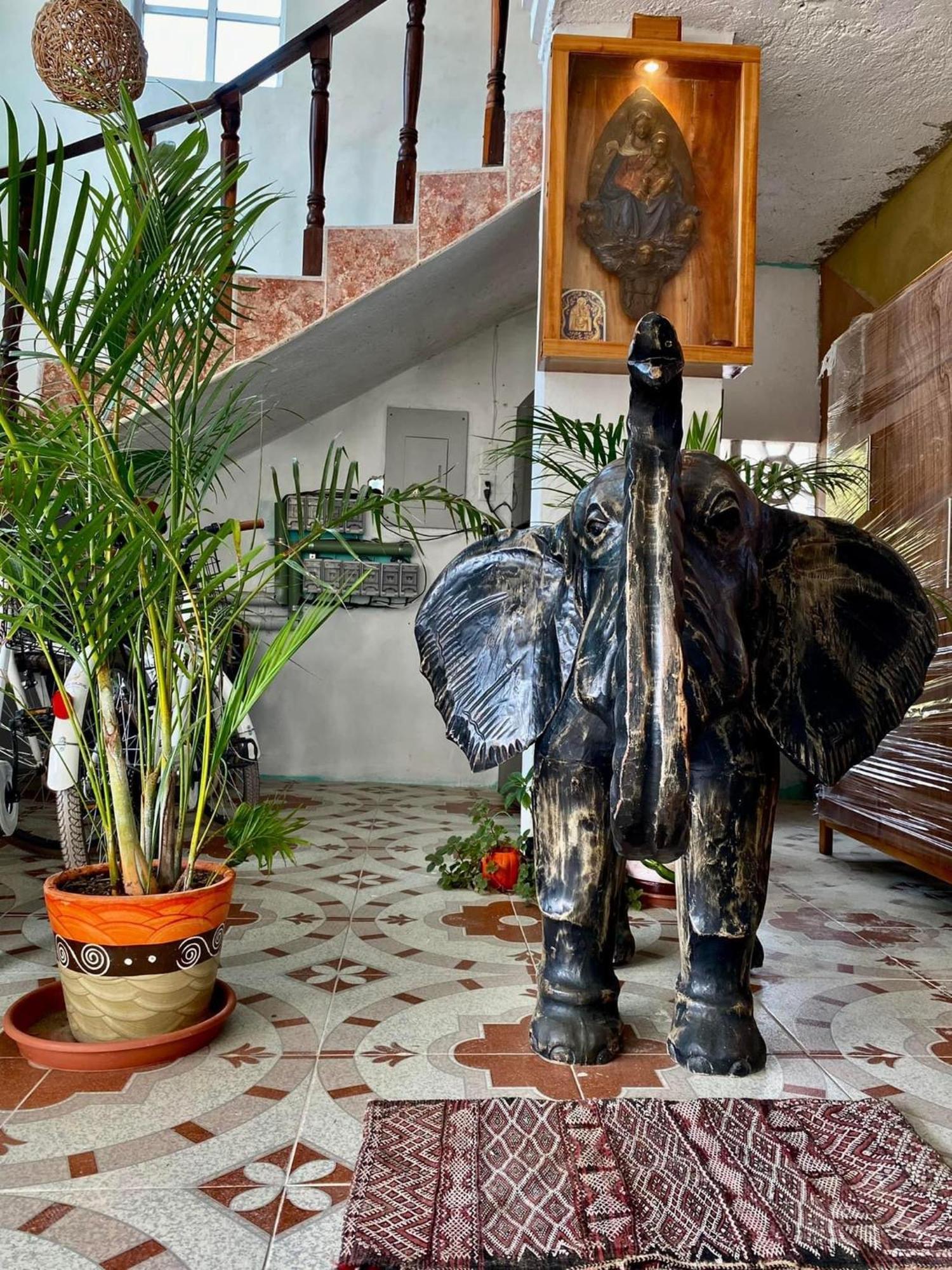Casa Gajah Hotel Cuyo El Cuyo Exterior foto